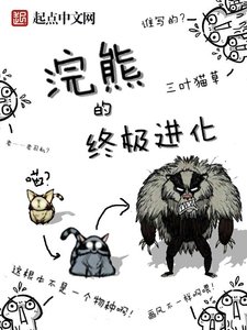 《浣熊的终极进化》