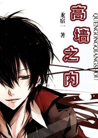 《高墙之内》