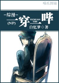 《(综漫同人)一穿一哔》