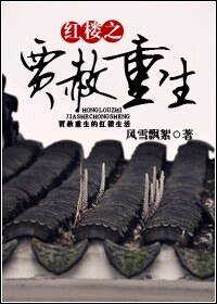 《(红楼梦同人)红楼之贾赦重生》