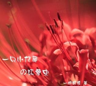 一只小九尾的妖孽史