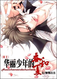 《(网王同人)华丽少年的春和夏》