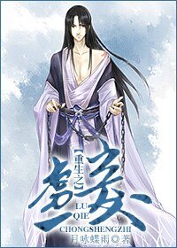 重生之虏妾