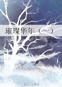 璀璨华年