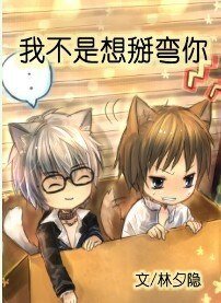 《我不是想掰弯你》