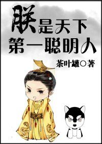 《朕是天下第一聪明人》