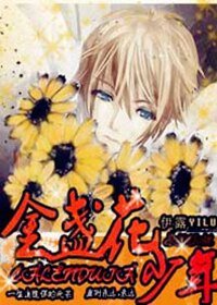 金盏花少年