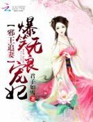 邪王追妻：爆笑无良宠妃