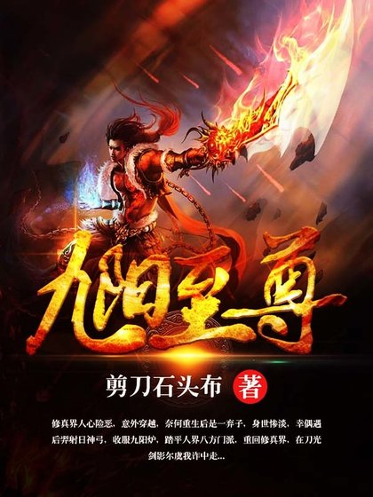 《九阳至尊》