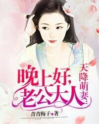 《天降萌妻:晚上好,老公大人》