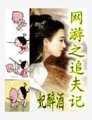 《网游之追夫记》