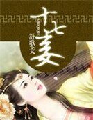 十七妾：腹黑王爷九等侍妾