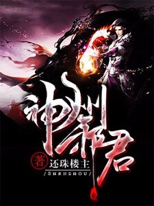 《神州邪君》