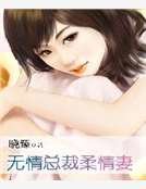 无情总裁柔情妻
