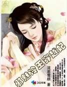 邪魅冷王穿越妃