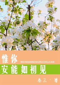 《惟你安能如初见》