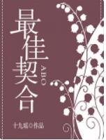 《最佳契合(ABO)》