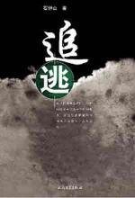 追逃（出书版）