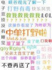 《中单打野啦》