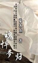 《穿越清朝兄弟阋墙时:魂悴梦归》