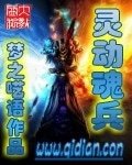 《灵动魂兵》