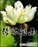 残妆泪雨/终极三世