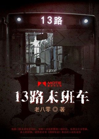 《13路末班车》