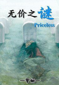 无价之谜
