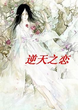 逆天之恋