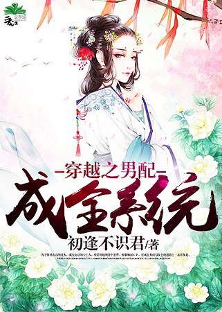 穿越之男配成全系统