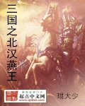 《三国之北汉燕王》