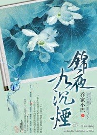 《锦夜九沉烟》