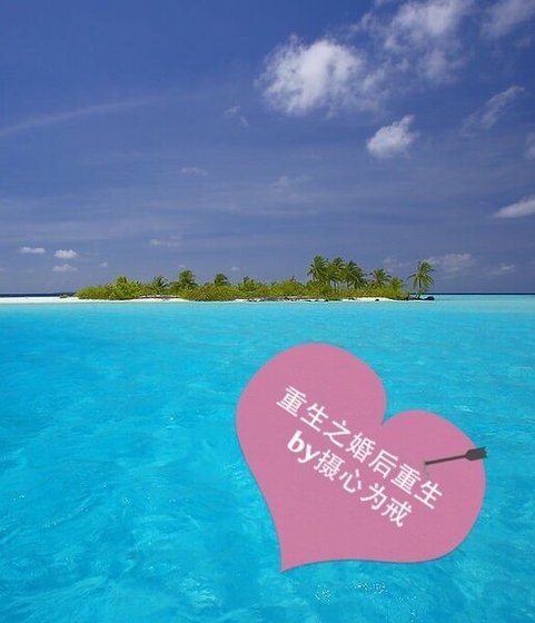 《重生之婚后重生》