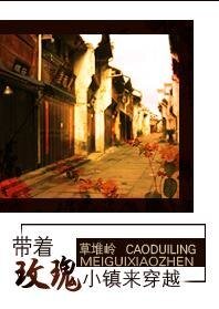 《带着玫瑰小镇来穿越》