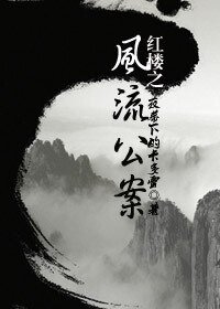 《(综同人)红楼之风流公案》