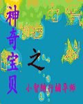 （宠物小精灵同人）小智随行辅导师
