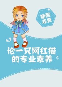 论一只网红猫的专业素养