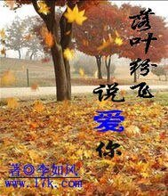 落叶纷飞说爱你