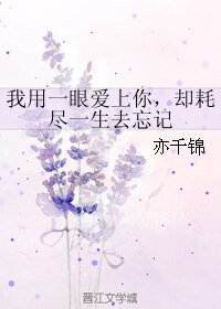 我用一眼爱上你，却耗尽一生去忘记