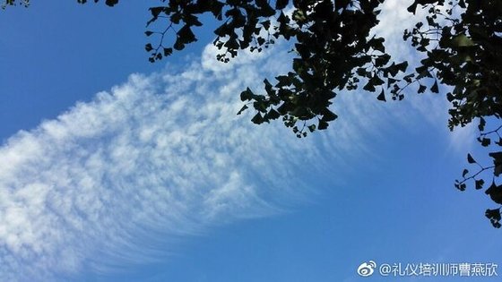 《咨询师-云去云来》