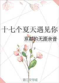 十七个夏天遇见你