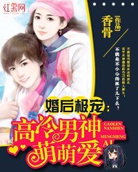 《嫁给大叔好羞涩/婚后极宠:高冷男神萌萌爱》