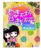 《挑衅BB 老婆不坏总裁不爱》