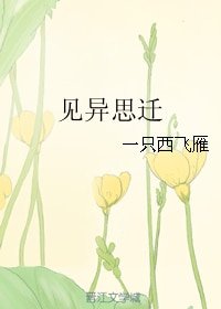 《见异思迁》