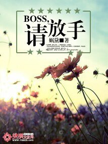 BOSS，请放手！