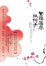 繁花落尽执何手/我的夫君大小乔（出书版+网络版）