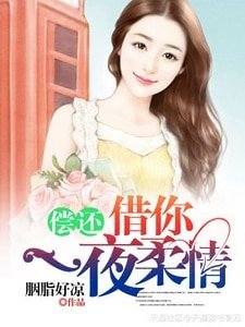 偿还：借你一夜柔情
