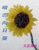 暗恋向日葵