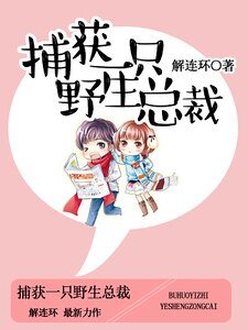 捕获一只野生总裁