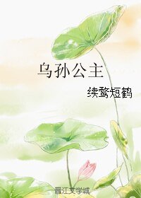 《乌孙公主》